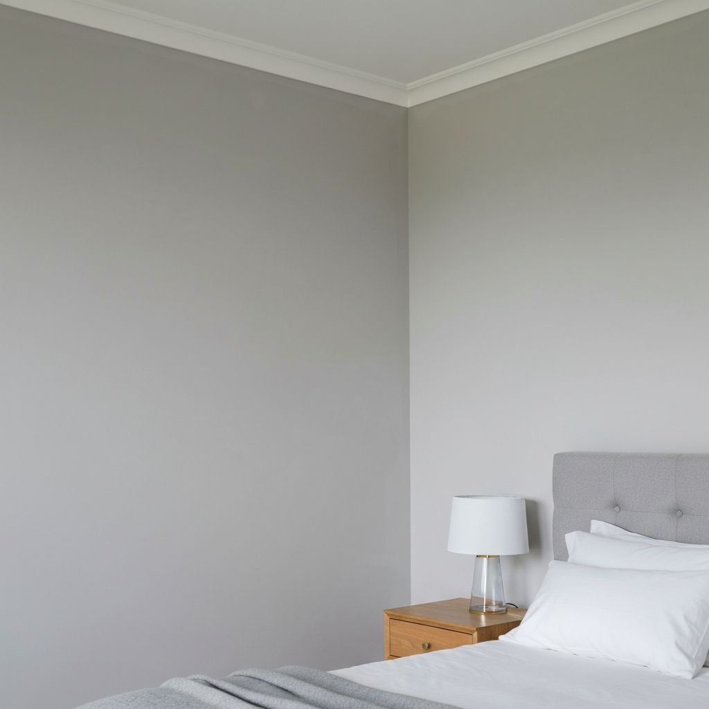 دهانات حوائط متقنة